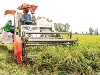 Bí Quyết Chọn Mua Máy Cày Phù Hợp Cho Bà Con Nông Dân