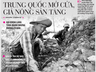 TIN NÔNG NGHIỆP nổi bật trên số báo hôm nay 